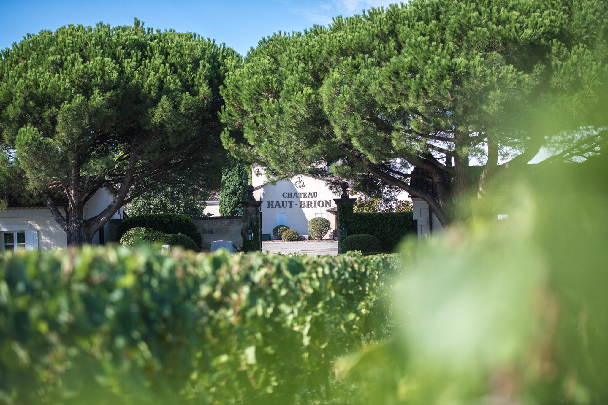 Château La Tour Haut-Brion — photo 1